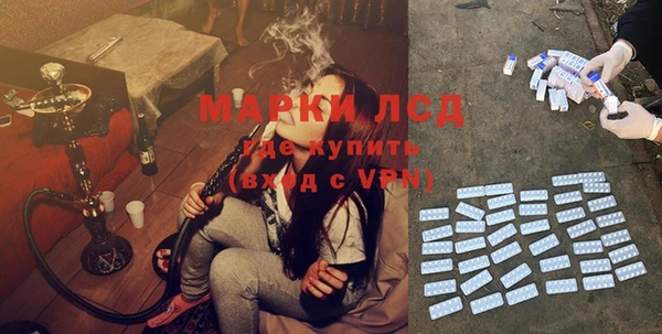 apvp Магадан