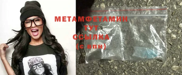 индика Мегион